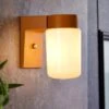 Elements Taylor Industrial Outdoor Wall Light -Elements 30894953